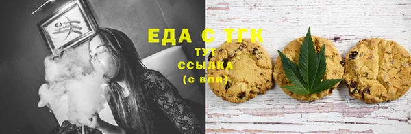 стафф Касимов