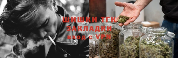 стафф Касимов