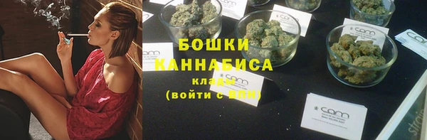 молекула духа Каменка