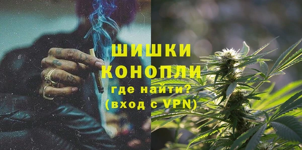 винт Карпинск