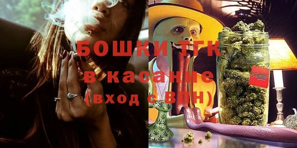 стафф Касимов