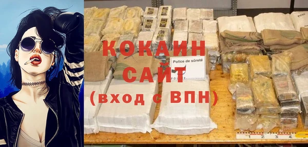стафф Касимов