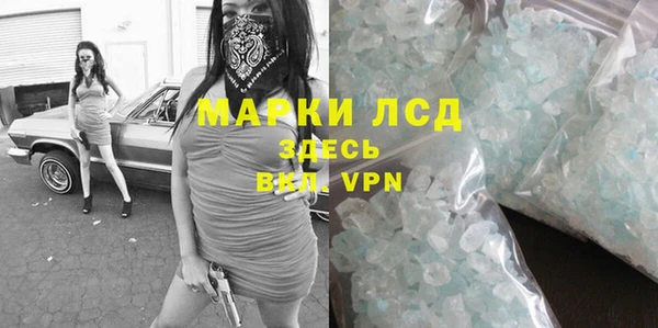 стафф Касимов