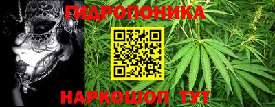 spice Донецк