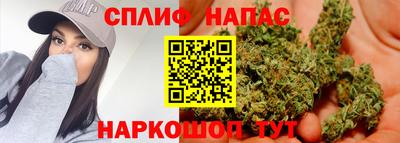 дурь Дубна